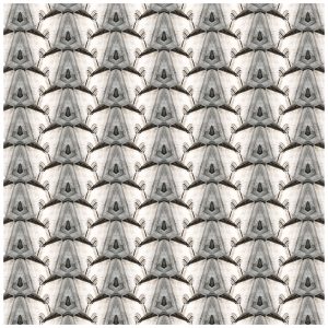 LAMINA EL SALVADOR 2