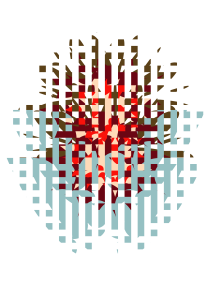 MOTIVO 8 FRAGMENTADO